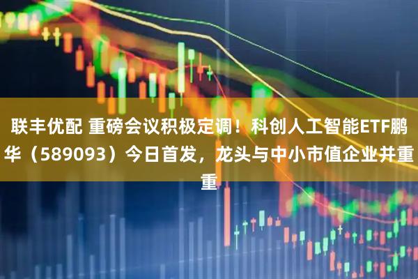 联丰优配 重磅会议积极定调！科创人工智能ETF鹏华（589093）今日首发，龙头与中小市值企业并重