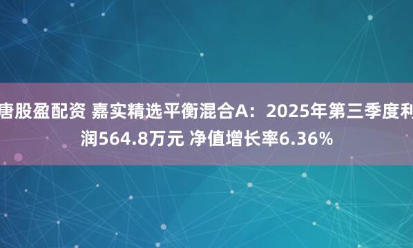 唐股盈配资 嘉实精选平衡混合A：2025年第三季度利润564.8万元 净值增长率6.36%
